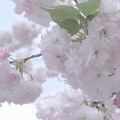 兽设暗黑风格设计福瑞交流群